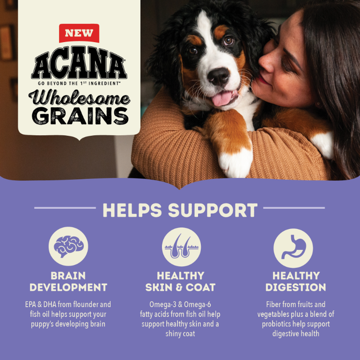 Go large hotsell breed puppy food